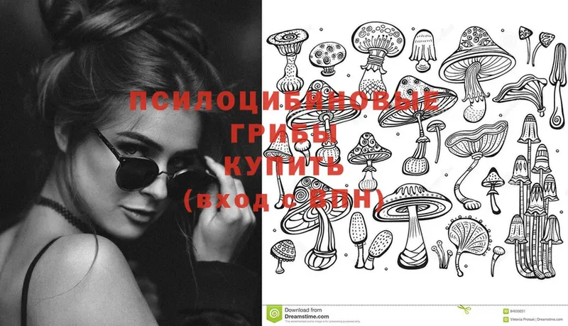 ОМГ ОМГ вход  Острогожск  Галлюциногенные грибы Cubensis 